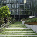  - Tenemos chance de regalarle al mundo soluciones