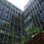  - Tenemos chance de regalarle al mundo soluciones