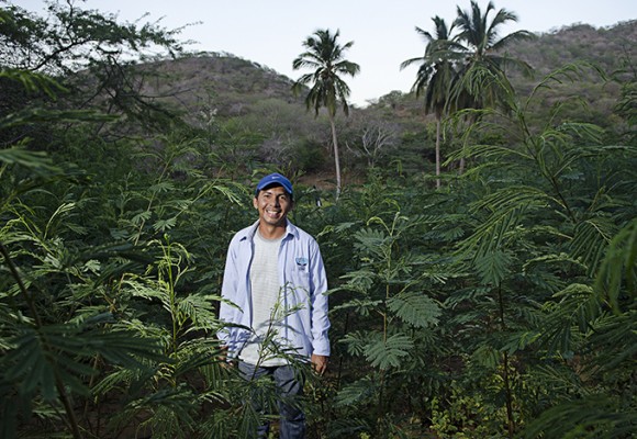 Amor al campo en la sangre