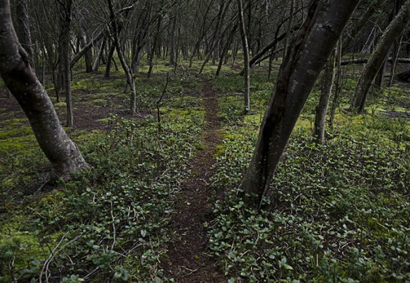 ¿Y si no cuidamos, qué?