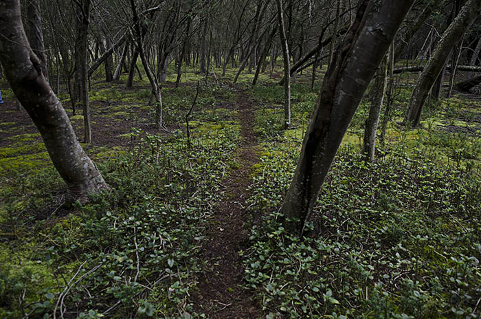 ¿Y si no cuidamos, qué?