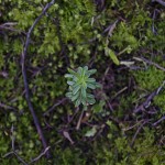  - ¿Y si no cuidamos, qué?