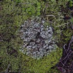  - ¿Y si no cuidamos, qué?