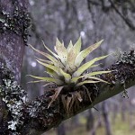  - ¿Y si no cuidamos, qué?