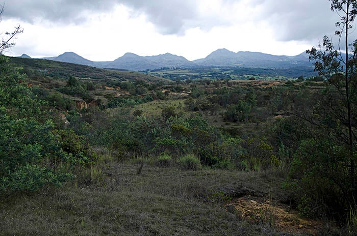 ¿Qué hacemos con el regalo?