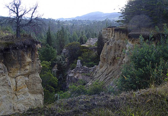 Y ahí está, el regalo de los muiscas