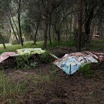  - Eutimio y su defensa de lo orgánico