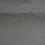  - Eutimio y su defensa de lo orgánico