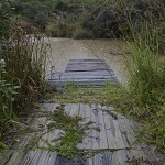  - Eutimio y su defensa de lo orgánico