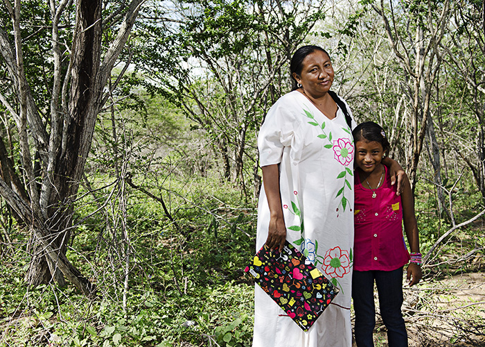 Para admirar en La Guajira