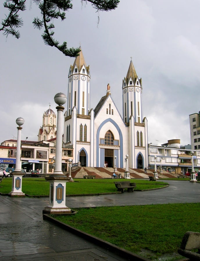 Cambio de piel para el parque de las Araucarias