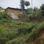  - "Eso era un potrero, y ahora véalo, hermoso."