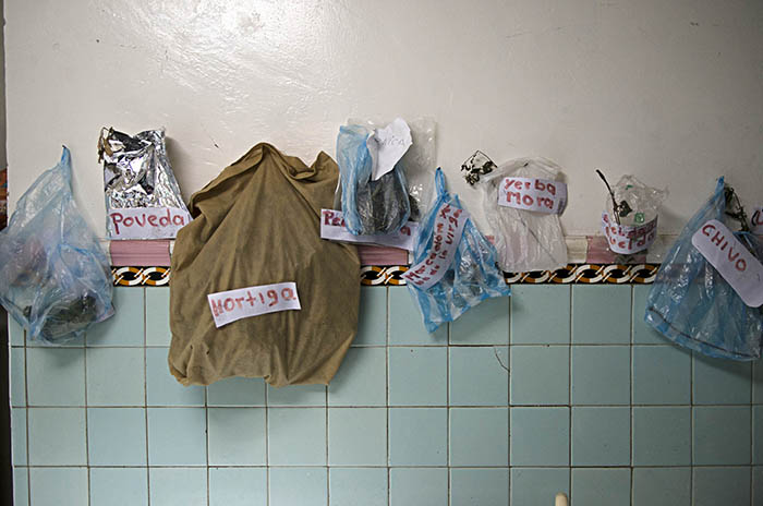 Lo medicinal y la hospitalidad