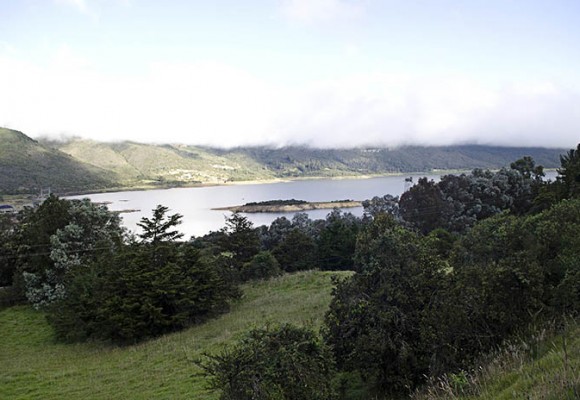 Cuidado de lo público