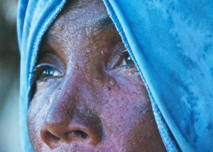 Buscando un Jardín Para María Peñaranda