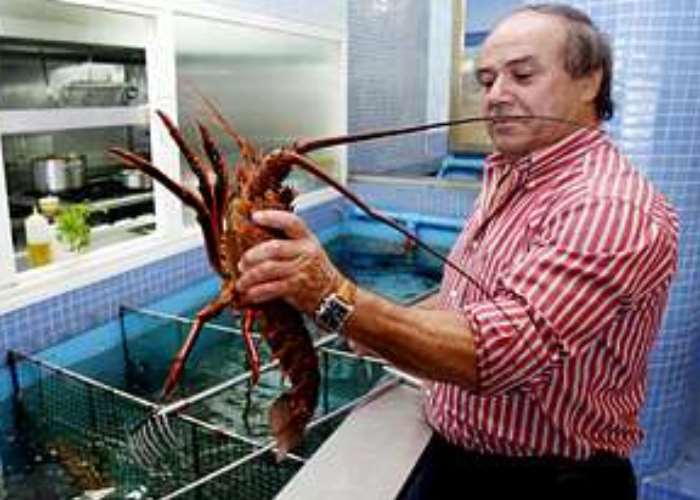 Lo que nos llevan de la cocina a la mesa