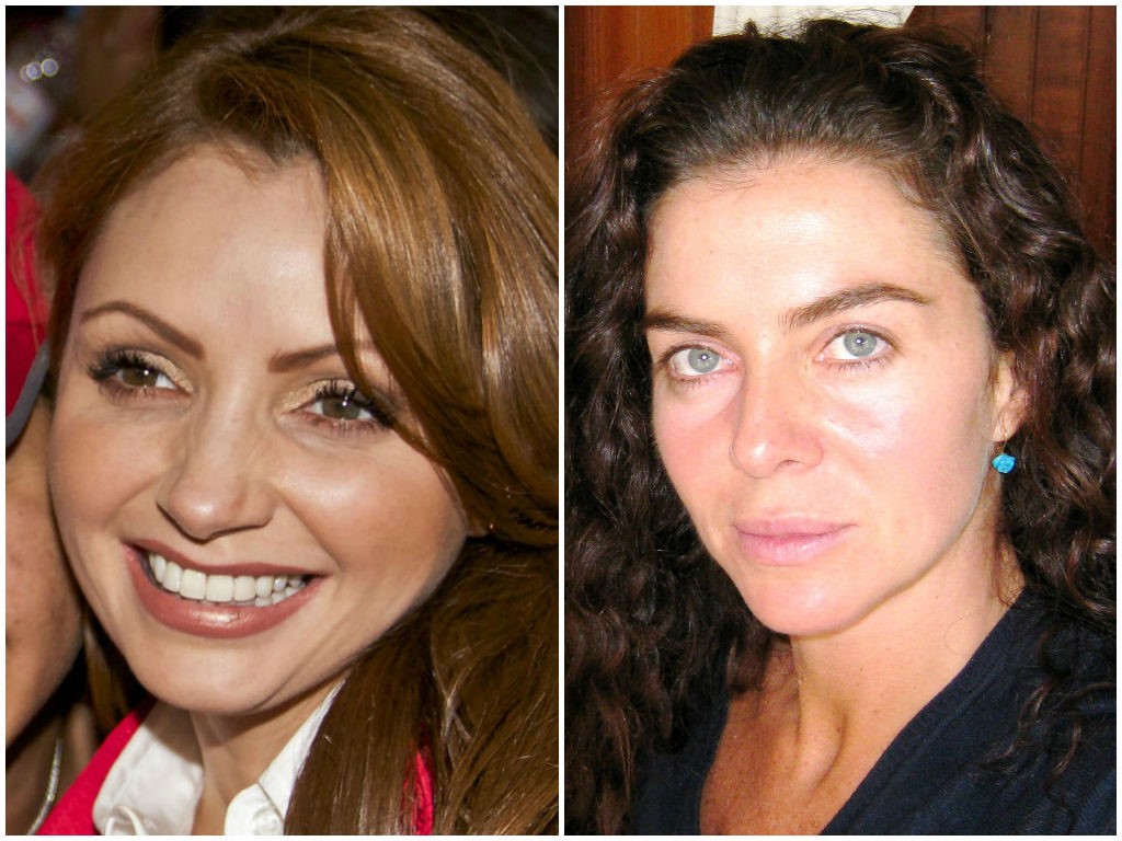 ¿Qué hay entre la gaviota mexicana y la gaviota colombiana?