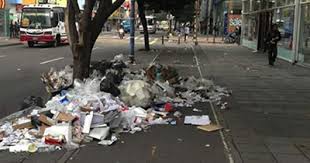 Comparendo ambiental: el retorno de la cultura ciudadana