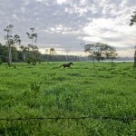  - A esta familia le corre tierra viva por las venas