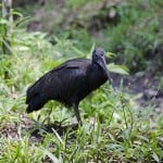  - A esta familia le corre tierra viva por las venas