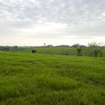 - A esta familia le corre tierra viva por las venas