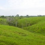  - A esta familia le corre tierra viva por las venas