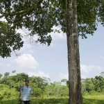  - Acabamos con la coca y nos pasamos al cacao orgánico