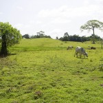 - A esta familia le corre tierra viva por las venas
