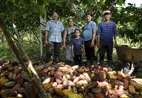 Acabamos con la coca y nos pasamos al cacao orgánico