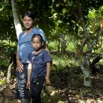 - Acabamos con la coca y nos pasamos al cacao orgánico