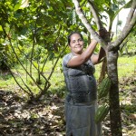  - Acabamos con la coca y nos pasamos al cacao orgánico