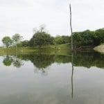  - A esta familia le corre tierra viva por las venas