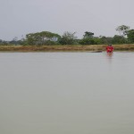  - En el Caquetá nace el descendiente del dragón
