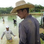  - En el Caquetá nace el descendiente del dragón