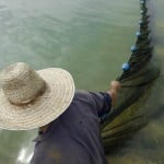  - En el Caquetá nace el descendiente del dragón