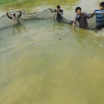  - En el Caquetá nace el descendiente del dragón