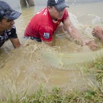  - En el Caquetá nace el descendiente del dragón