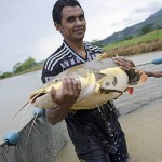  - En el Caquetá nace el descendiente del dragón