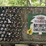  - Creció al punto de convertirse en una colección de plantas vivas