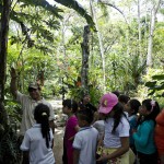  - Creció al punto de convertirse en una colección de plantas vivas
