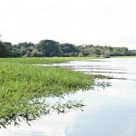  - "Esta laguna quedó como una piscina sin nadadores"