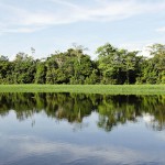  - "Esta laguna quedó como una piscina sin nadadores"