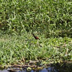  - "Esta laguna quedó como una piscina sin nadadores"