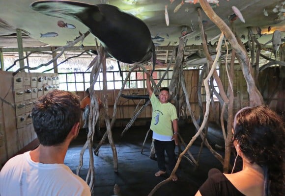 Aquí no hay especies en cautiverio, hemos reproducido los animales a escala real