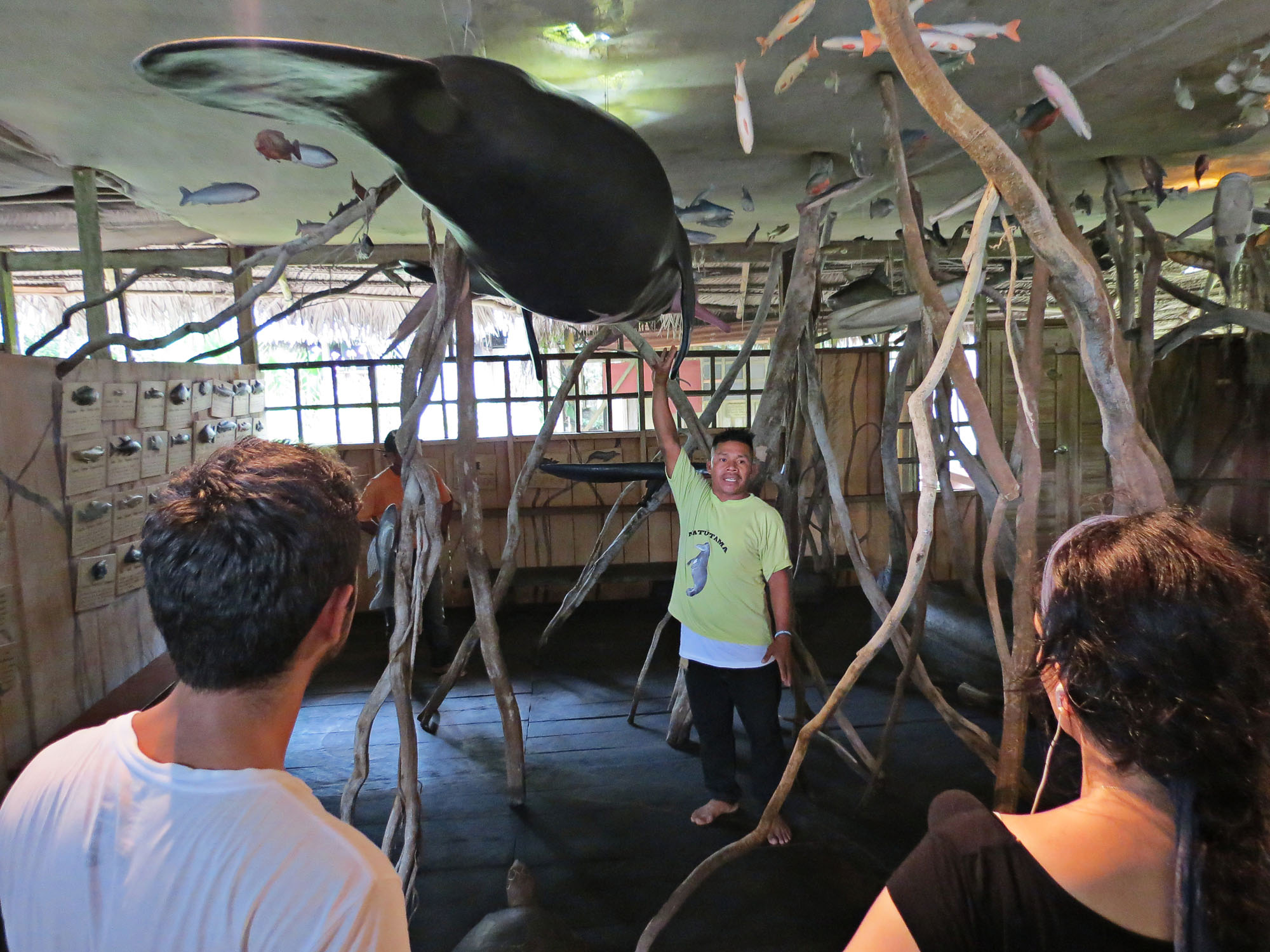 Aquí no hay especies en cautiverio, hemos reproducido los animales a escala real