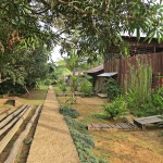  - "Cuando alguien camina, puedo sentir qué tipo de persona es"