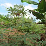  - "Cuando alguien camina, puedo sentir qué tipo de persona es"