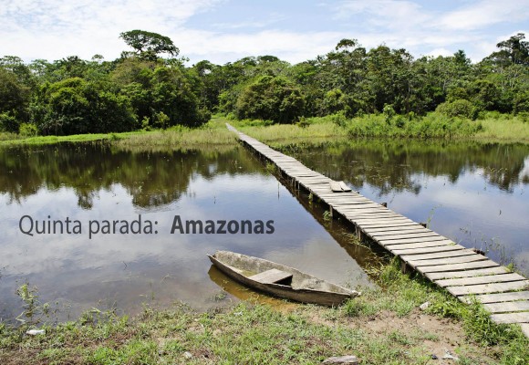 Rumbo al Amazonas