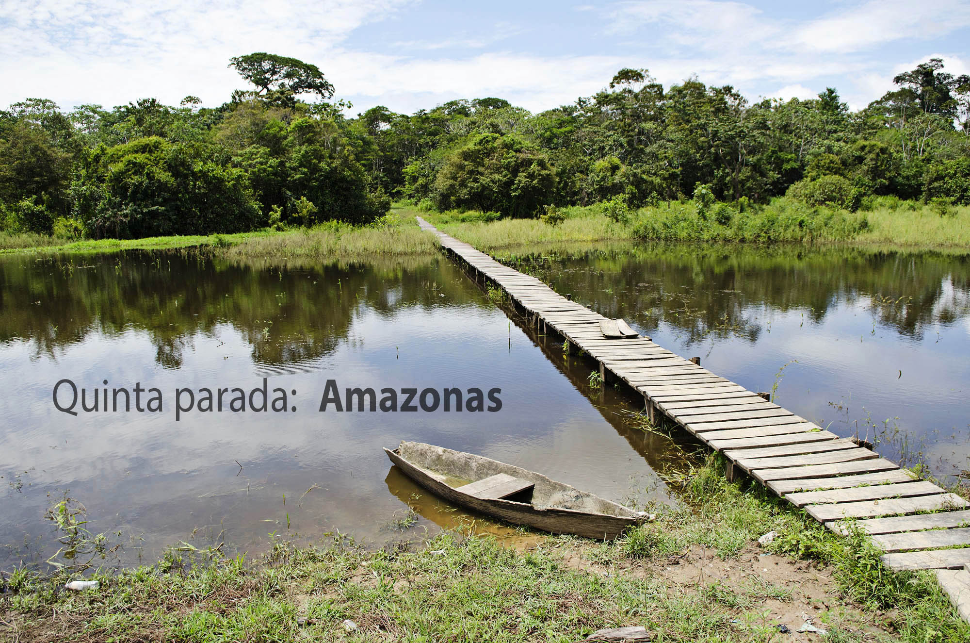 Rumbo al Amazonas