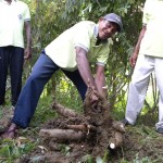  - De Vietnam a Lorica